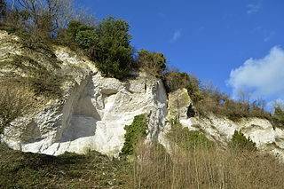 Seale chalk pit nature reserve