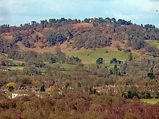 St Martha's Church