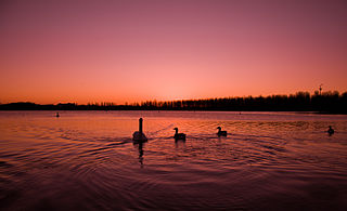 Willen Lake