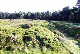 Cawthorn Roman Camp D