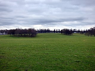 The Racecourse