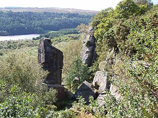 Rivelin Quarries