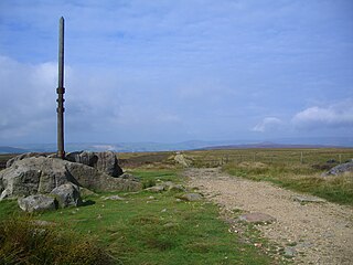 Stanedge Pole