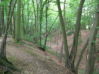 Beech Bottom Dyke