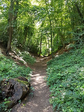 Devil's Dyke