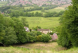 Cheese Rolling