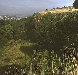 Leckhampton Hill