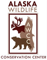 Alaska Wildlife Conservation Center