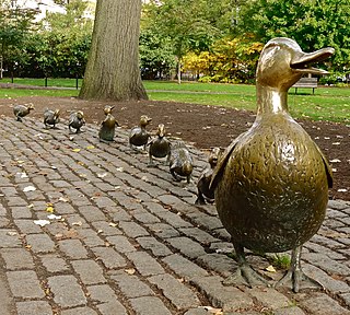 Make Way For Ducklings