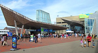 New England Aquarium