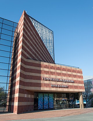 Tennessee Aquarium