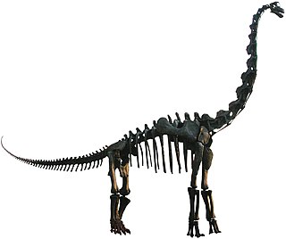 Brachiosaurus