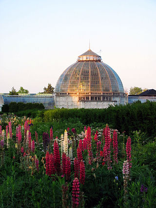 Anna Scripps Whitcomb Conservatory