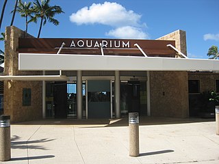 Waikīkī Aquarium