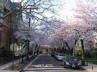 Wooster Square Historic District