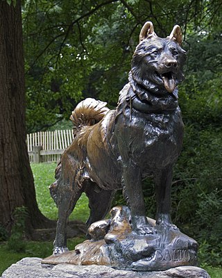 Balto