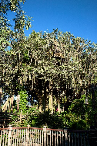 La Cabane des Robinson