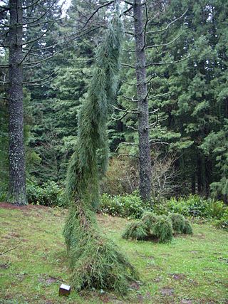 Hoyt Arboretum Visitor Center