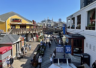 Pier 39 Sea Lions