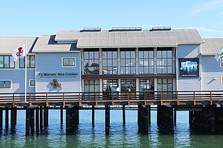 Santa Barbara Museum of Natural History Sea Center