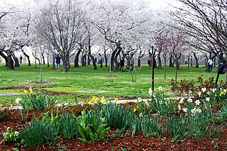 German-American Friendship Garden