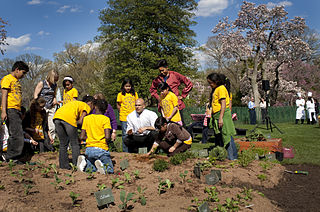 White House Kitchen Garden