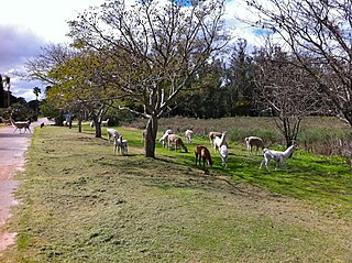 Zoo Parque Lecocq