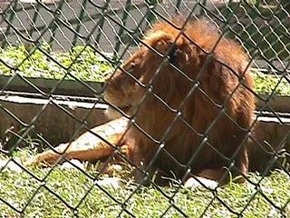 Parque Zoológico de Caricuao